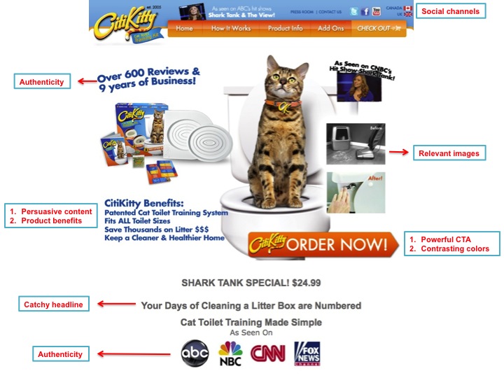 citi kitti landing page